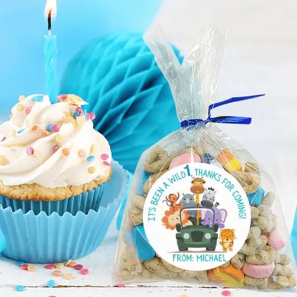 Personalized Boys Birthday Party Stickers & Treat Bags - undefined - Joyful Bliss Boutique